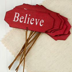 Red "Believe" Sign Pick